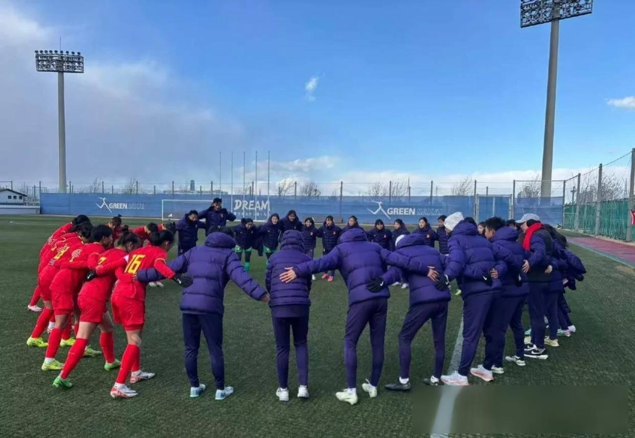 关于艰难斗争：女足赛场上团队协作强大的信息