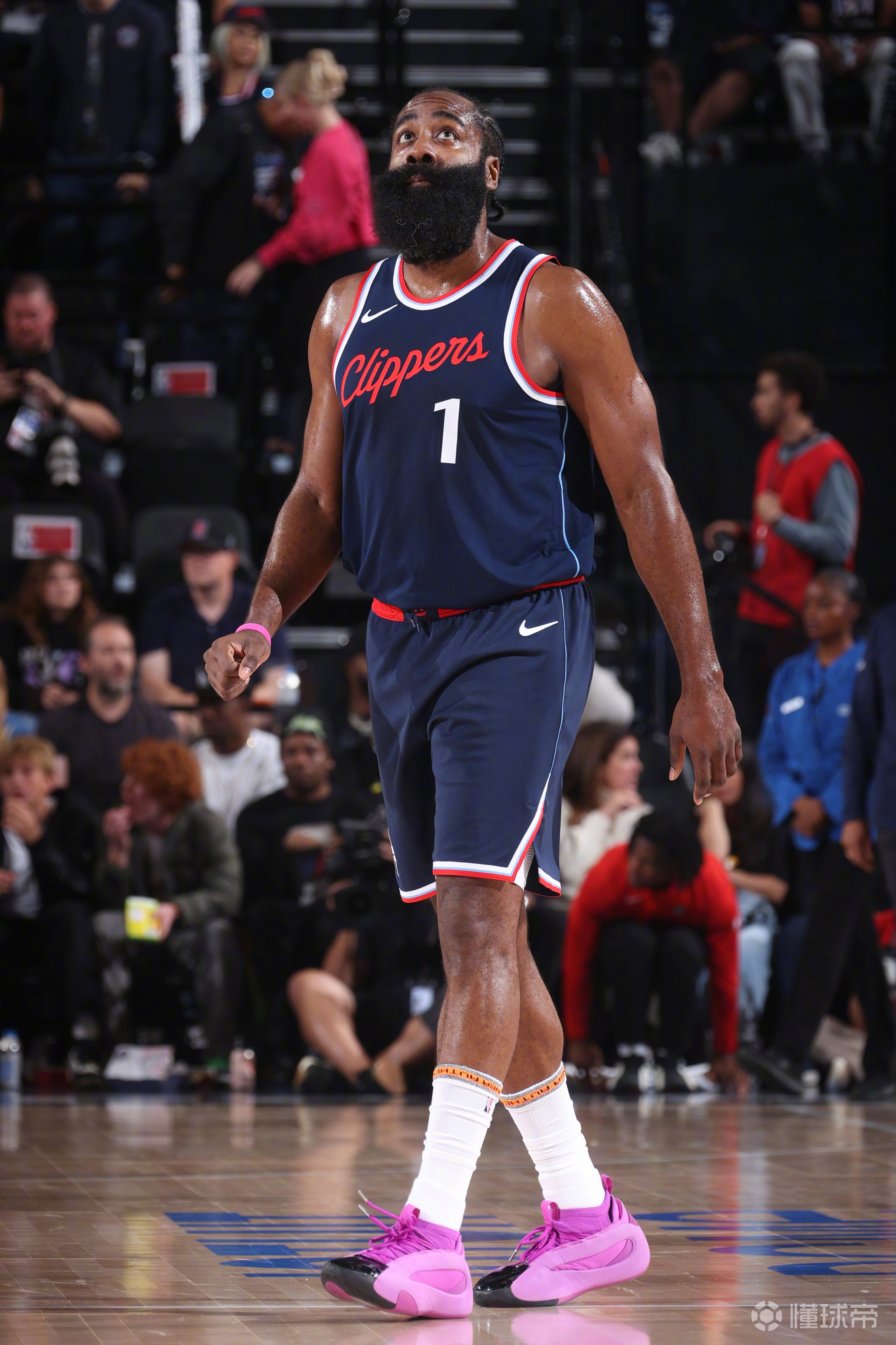 快船队主场力克老鹰，完美获胜的简单介绍