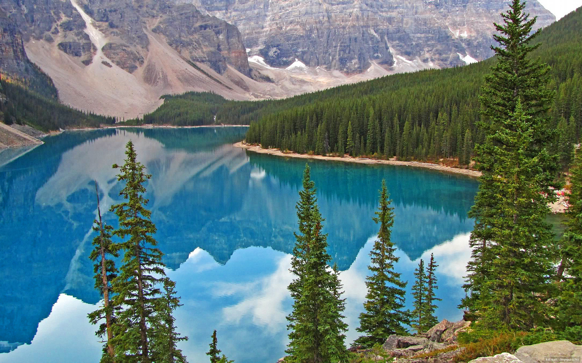 巅峰对决,小贾伦的子弹提前杀死悬念