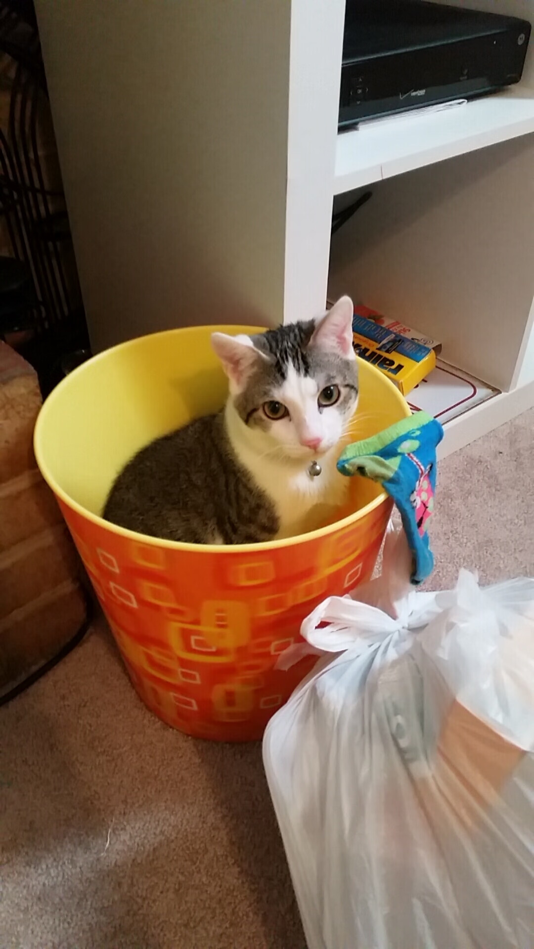 尼斯稳稳拿下韩国，凯塞多完成自我救赎—一曲理性与感性的足球双重奏