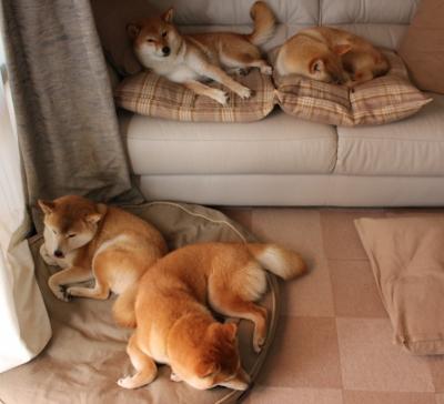 巴尔韦德一锤定音,蓝军铁血逆转亚特兰大强势晋级