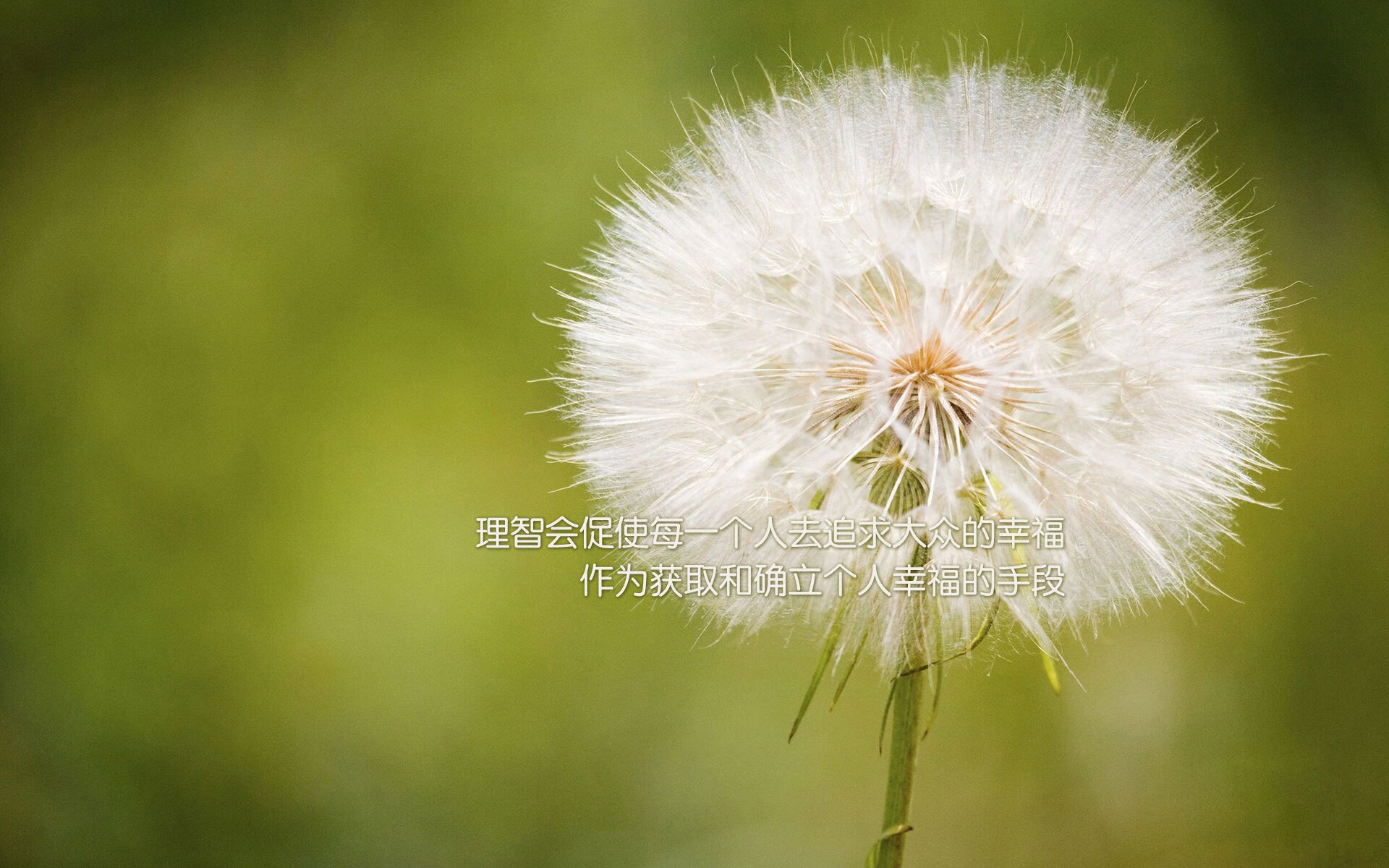 姆巴佩只手导演胜利，利物浦征服乌克兰劲旅