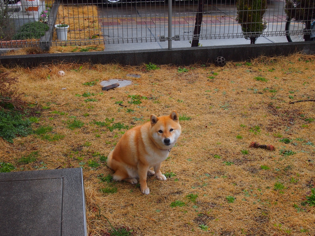 跨洋对决!快船东决战力全开,深圳队虽败犹荣