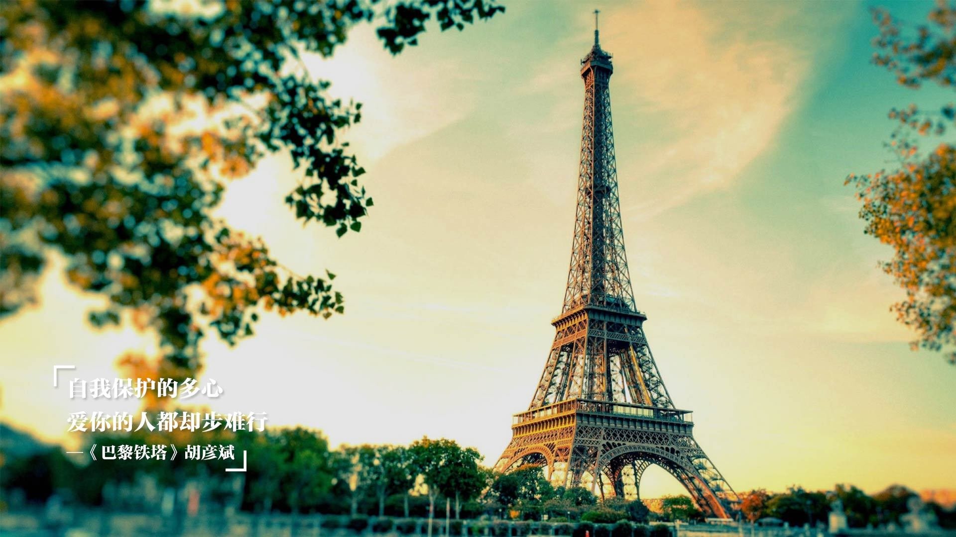 武战维奇硬仗之王，湖人战术压制国王的篮球智慧与对决启示