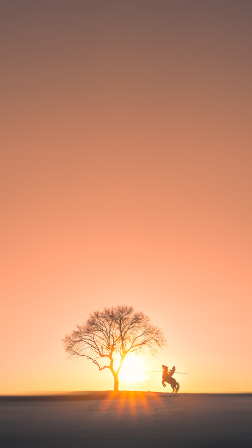 字母哥里程碑与北京队大捷，在篮球的全球化幕布上，一场东方与西方的共鸣