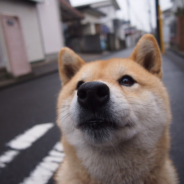 库里关键三分+压哨助攻！魔术绝地逆转北京队