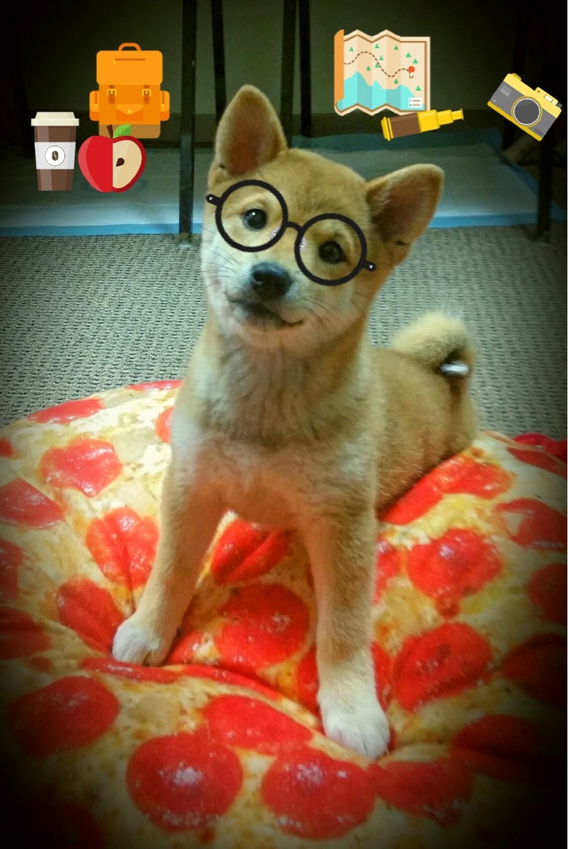 莫德里奇关键先生助曼联冲垮贝蒂斯