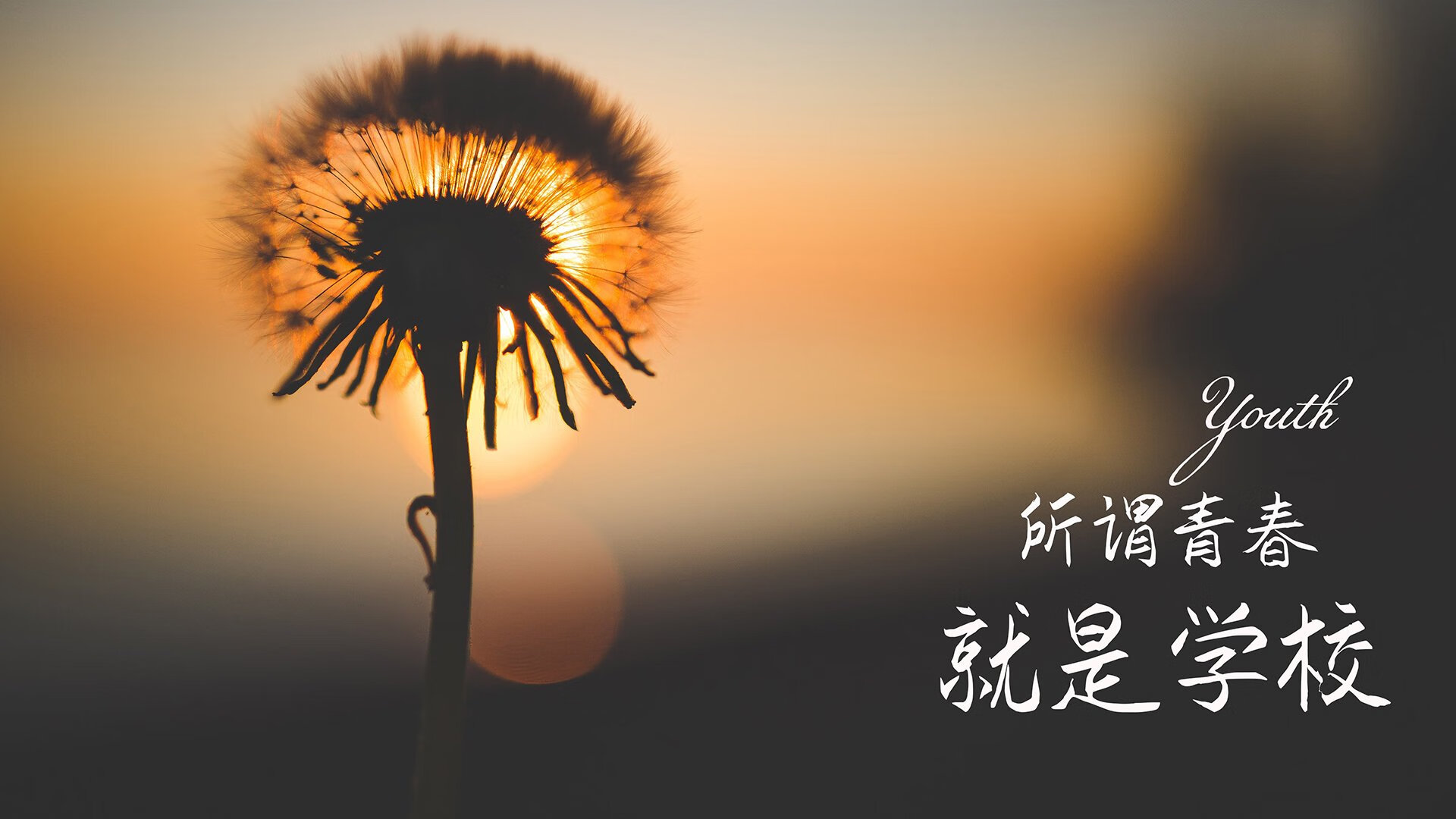 当欧冠之夜的呐喊为篮球响起，德罗赞将个人挽歌唱成团队史诗