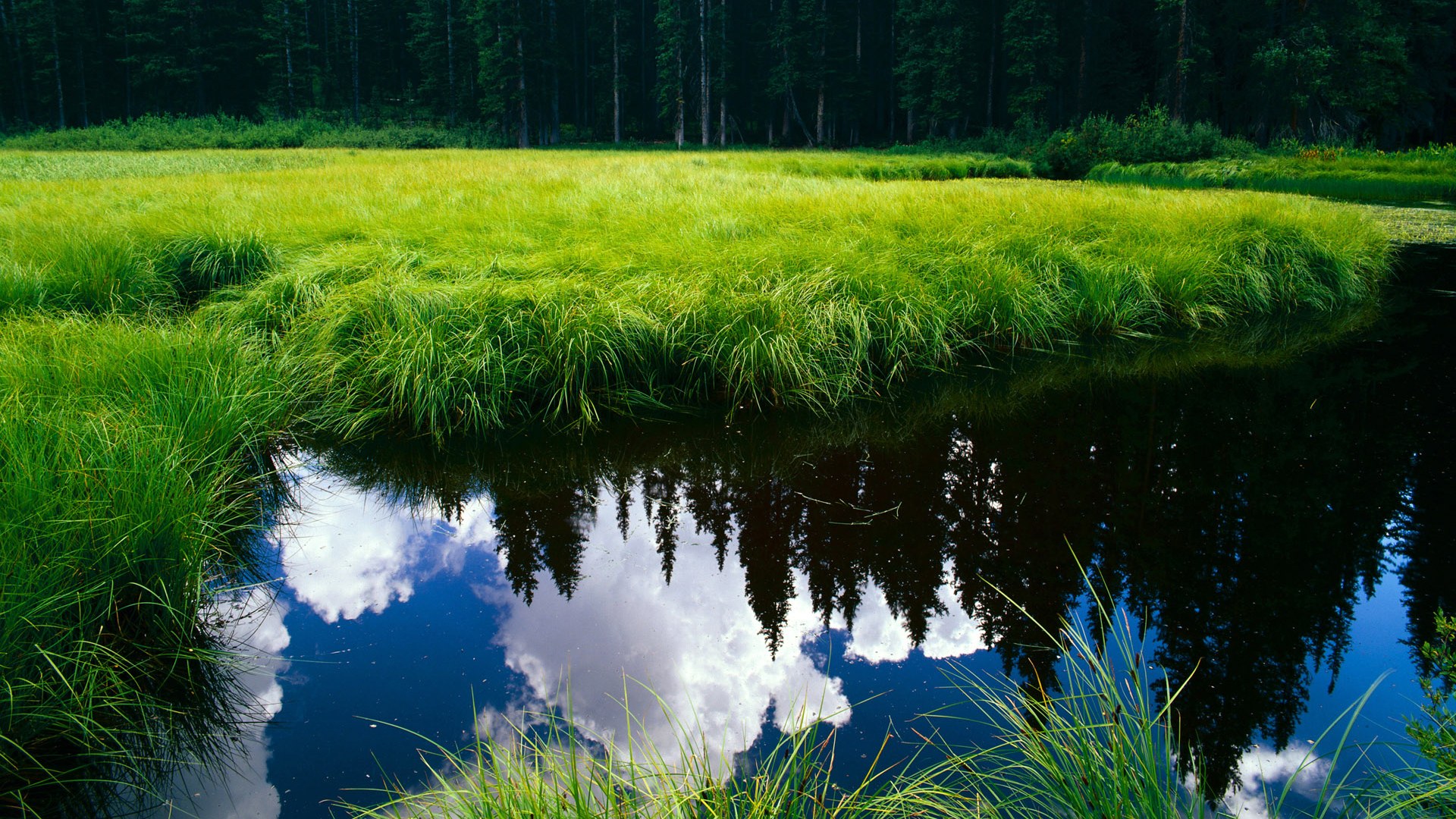 绝杀救赎,莫兰特17秒定江山,马刺逆转快船锁定关键卡位战