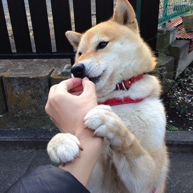 暗夜彩虹，马丁内利一剑封喉，塞维利亚的逆袭序章