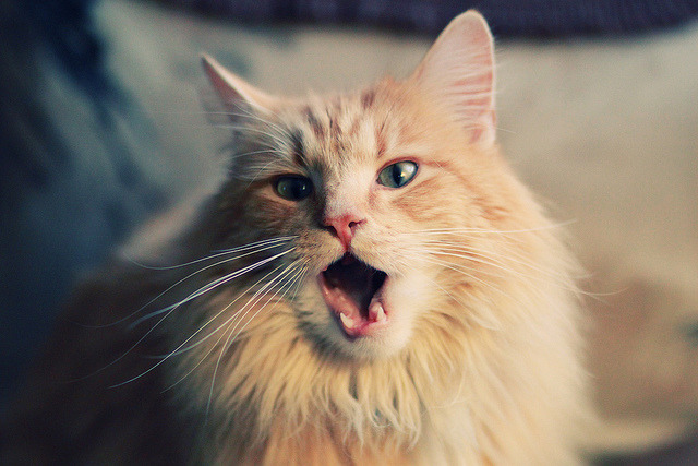 掌控节奏的特奥，皇马中场的艺术大师