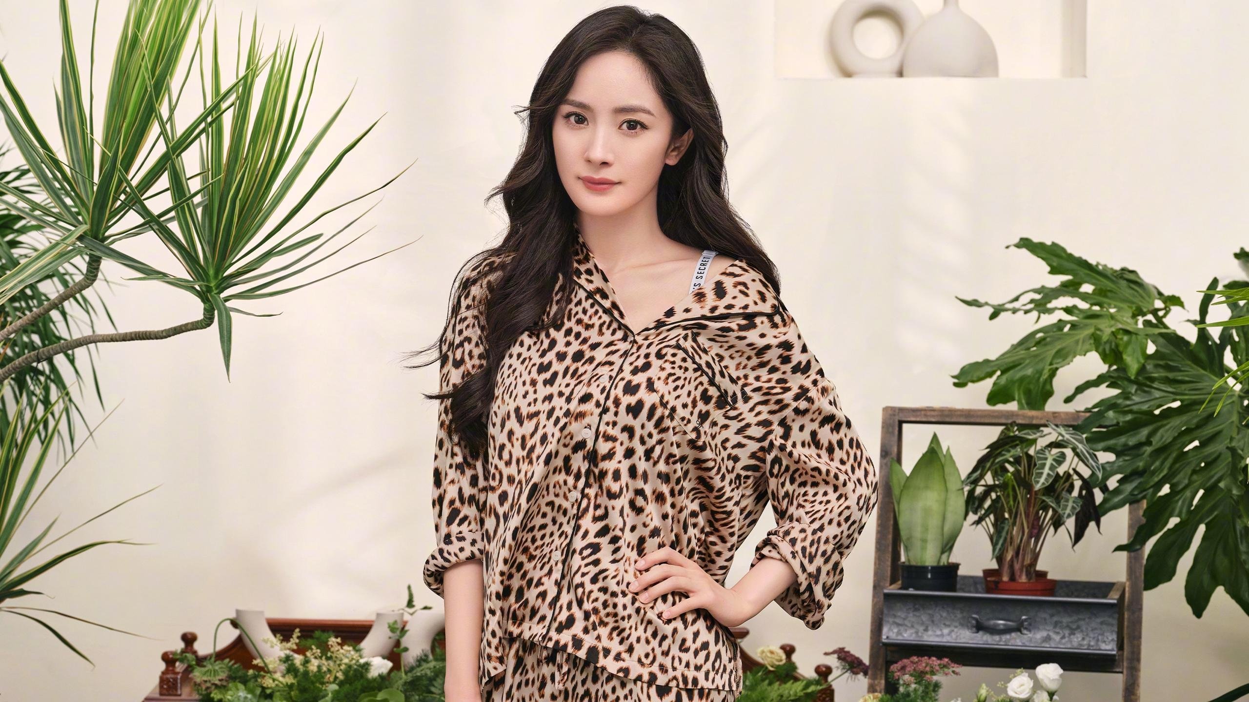 奥运烽火台下,定海神针范戴克,当关键战之夜拒绝掉线