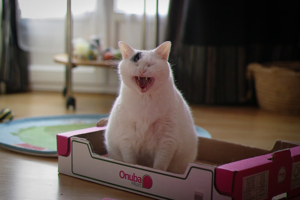 欧冠淘汰赛之夜,孔德用实力书写属于自己的篇章