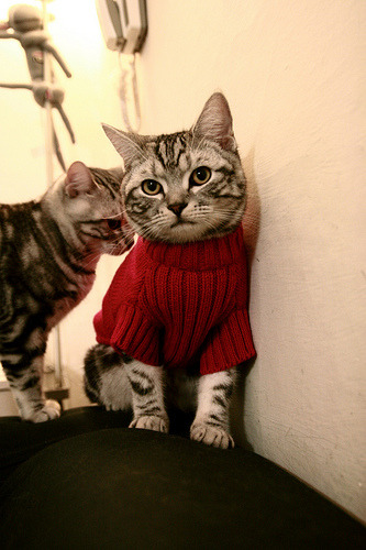 赛道绿茵场,当弗拉霍维奇在F1街道赛接管比赛,尤文已全面压制日本