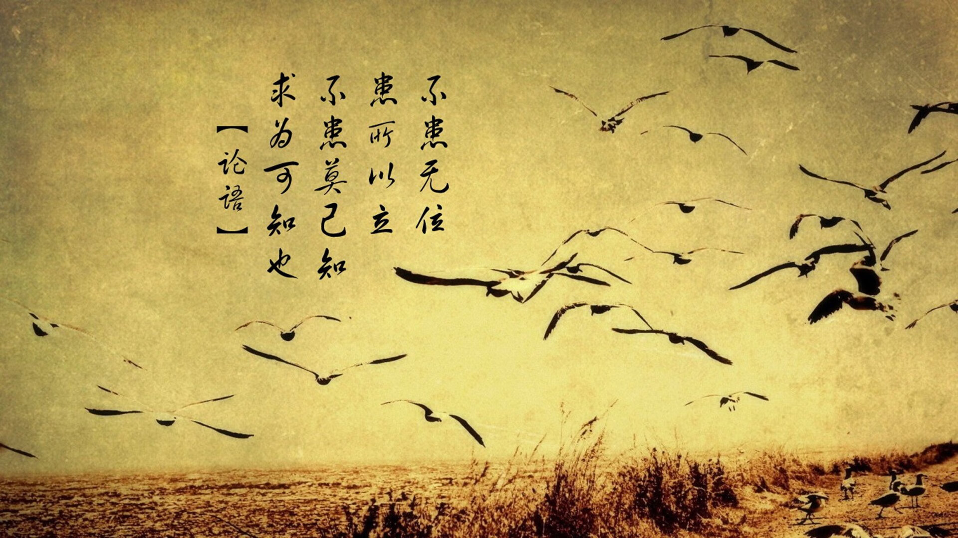 挪威风暴席卷圣马梅斯,阿劳霍铁壁防守扼杀毕尔巴鄂攻势