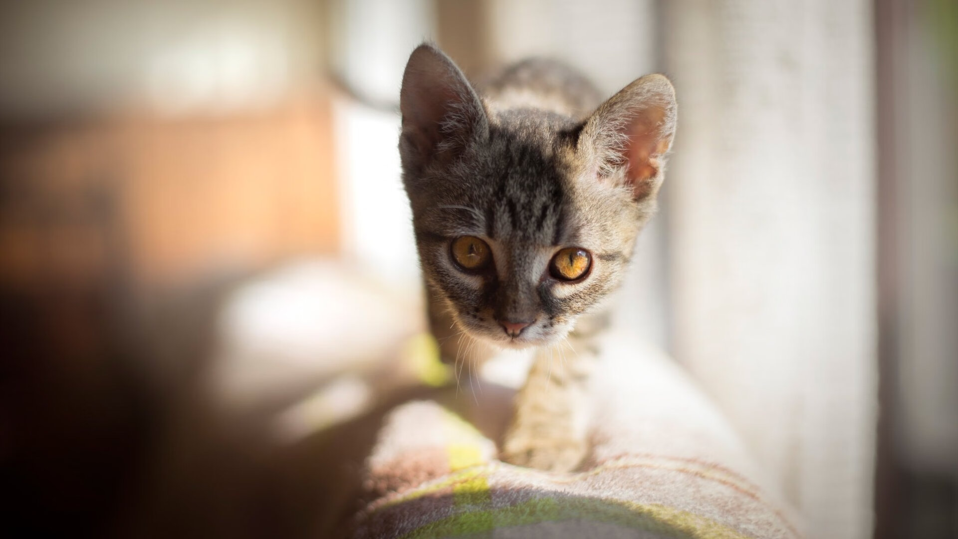 寸寸危崖显真身,卡塞米罗如何化身红魔的大场面先生