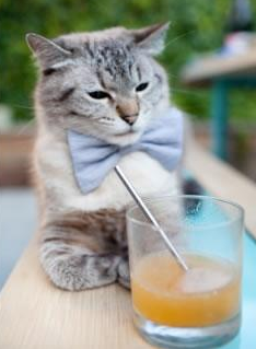 美加墨世界杯焦点战，威尔士「红龙」如何一波带走「蓝狮」切尔西？